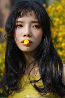 在线观影网站